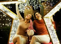 Christmas Lights 2025