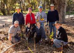 A group of volunteers planting trees