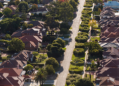 A leafy residential street