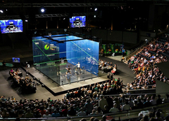 2026 World Squash Masters Championships