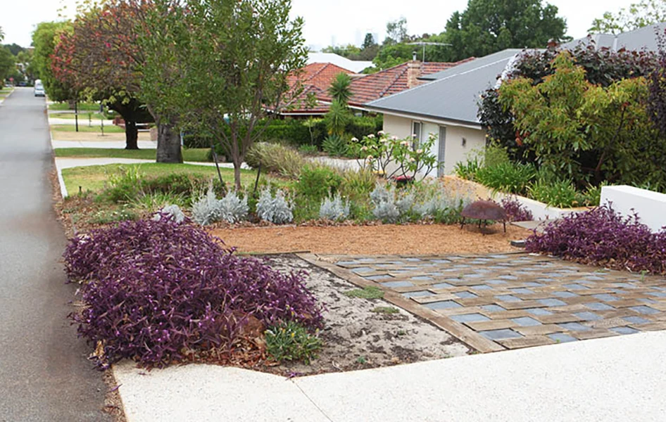 ENG_Plants_TI_946x600
