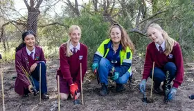 A City of Stirling staff member with three school students in school uniform planting plants