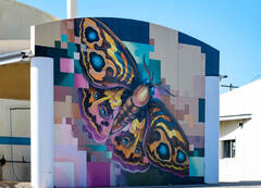 Image of Mural in Doubleview