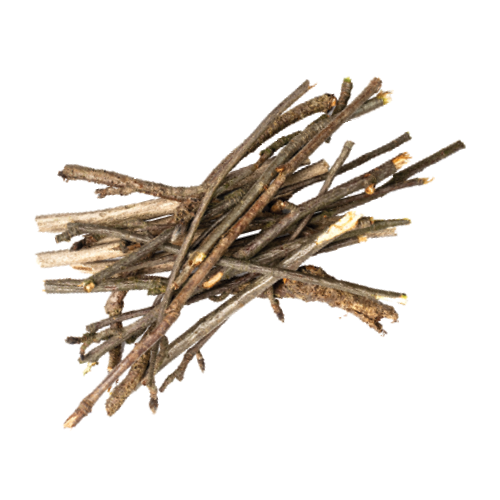 A pile of branches