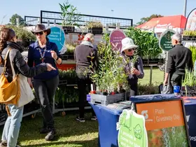 The plant giveaway at NAIDOC