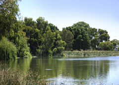 Jackadder Lake Reserve
