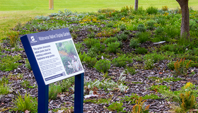 A waterwise garden