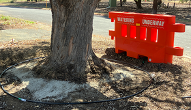 Barriers a new weapon in fight to save street trees