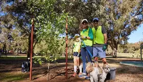 a group of people with a dog and a bucket in a park