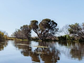 Image of Lake Monger in Wembley