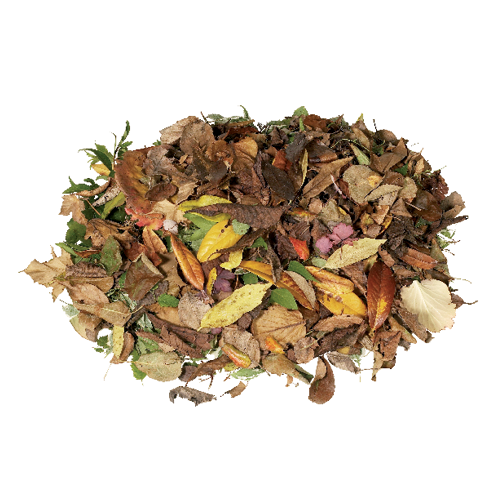 A pile of leaves