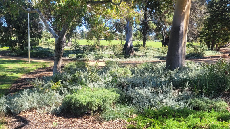 Water-smart parks Water-smart parks