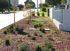 A waterwise verge
