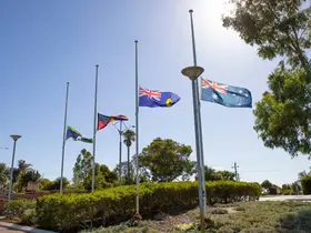 Several flags at half mast