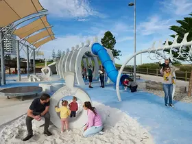 The Whale Playground by Jahne Rees