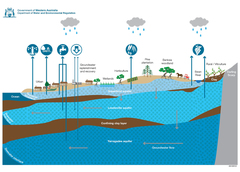 A disgram showing how rainfall recharges Perth's groundwater system