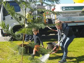 A woman watering a street tree