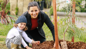 Community planting
