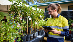 A staff member checking plants