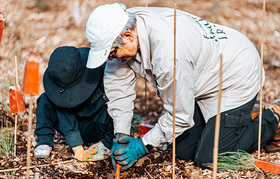 Volunteers planting a tree