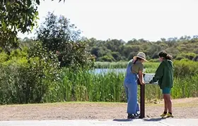 Two people reading signage at Lake Gwelup