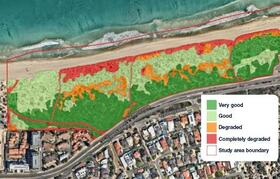 An assessment of the coastline where the proposed coastal boardwalk will be placed