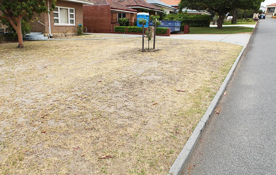 ENG_Non-Retic-Lawn_TI_946x600