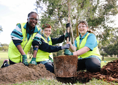 Children in hi-vis planting a tree