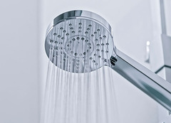 Shower head
