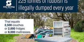 225 tonnes of rubbish is illegally dumped every year