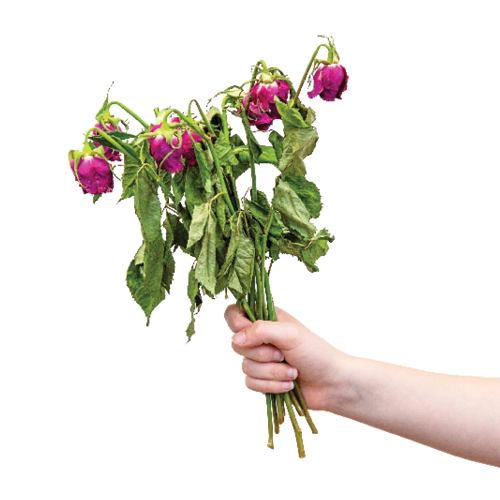 A hand holding flowers