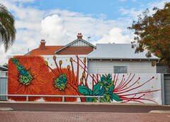 Image of Mural in Mount Lawley