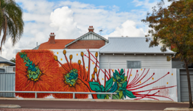 A mural on a house in Mount Lawley