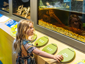 Herdsman Lake Discovery Centre