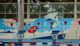 Grand new art for a brand new pool