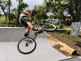 Bina Parkland