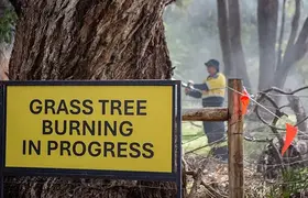 A sign reading "Grass tree burning in progress"