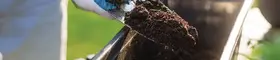 A person scooping soil with a trowel