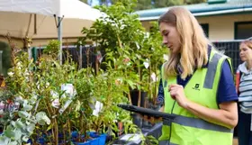 A staff member checking plants