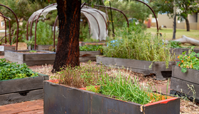 Westminster Community Garden