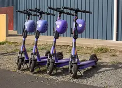 a group of purple scooters with helmets