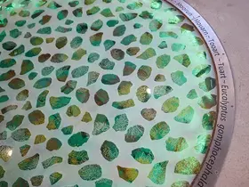 Art by Pamela Gaunt and Apparatus